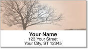 Spirit of the Tree Address Labels