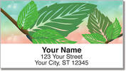 Spring Green Address Labels