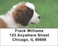 St Bernards Address Labels - Saint Bernard Labels