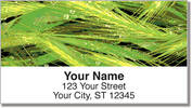 Tree Close Up Address Labels