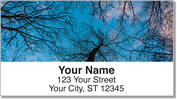 Tree Light Address Labels