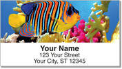 Tropical Fish Address Labels