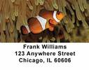 Tropical Fish Address Labels