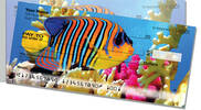 Tropical Fish Side Tear Checks