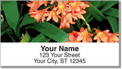 Tropical Flower Address Labels