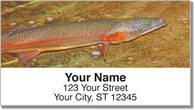 Trout Stream Address Labels