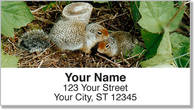 Twin Baby Animal Address Labels