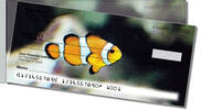 Underwater World Side Tear Checks