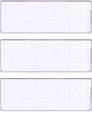 Violet Safety Blank Stock For 3 to a Page Voucher Computer Checks