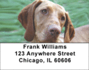 Vizsla Labels - Vizslas Address Labels