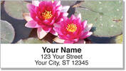 Water Lily Address Labels