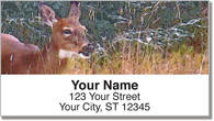 Watercolor Deer Address Labels