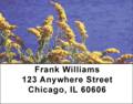 Waters Edge Labels - Waters Edge Address Labels