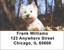 West Highland White Terrier Address Labels