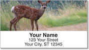 Woodland Creature Address Labels