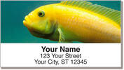 World of Fish Address Labels
