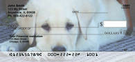 Yellow Lab Puppies Personal Checks