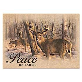 Winter's Peace Personalized Holiday Cards