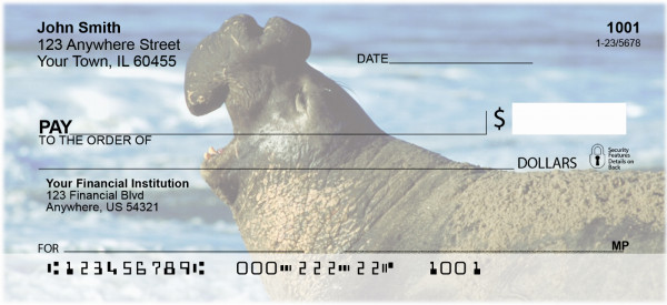 Elephant Seals and Sea Lions Personal Checks