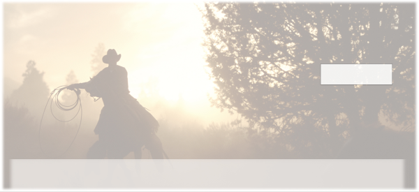 Roundup at Sunset Personal Checks