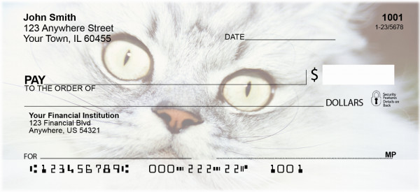 My Point of View Personal Checks