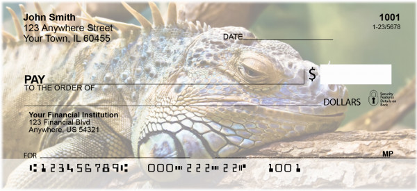 Iguana Be Cool
