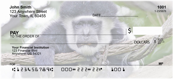 Whatcha Thinkin Personal Checks