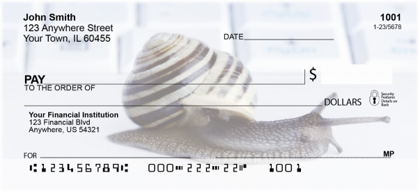 Slow Computer Personal Checks