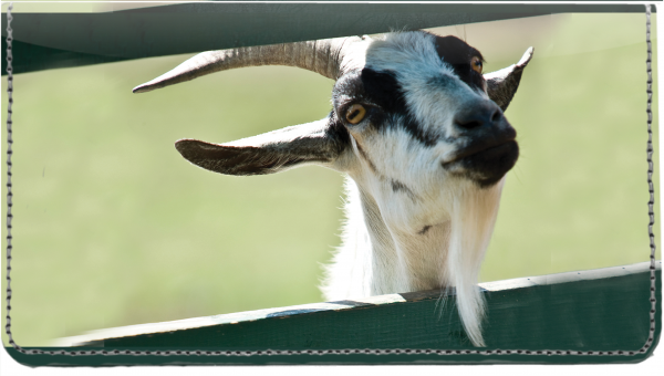 Goats Leather Cover