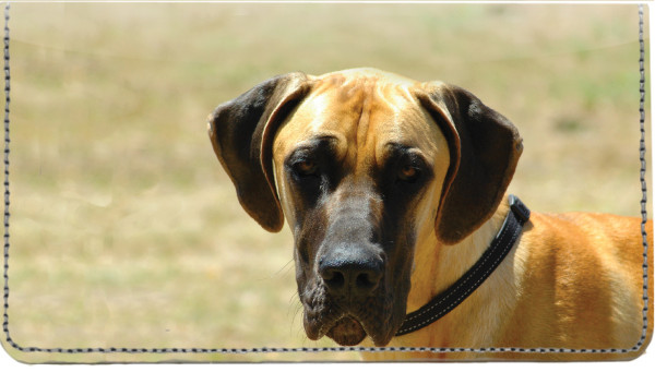 Great Danes Leather Cover