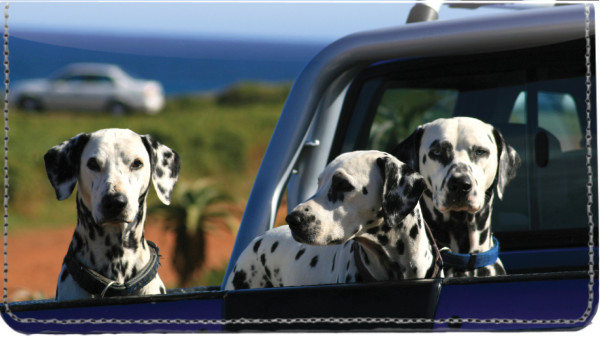 Dalmatians Leather Cover