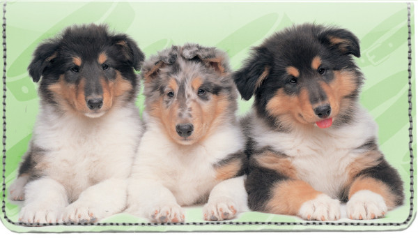 Collie Pups Keith Kimberlin Leather Cover
