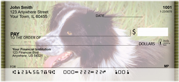 Border Collies Personal Checks