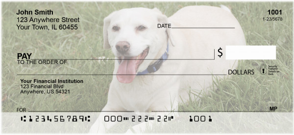 Yellow Labradors Personal Checks