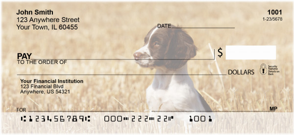 English Spaniel Puppies Personal Checks