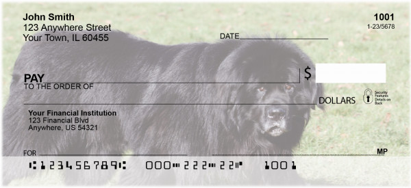 Newfoundland Personal Checks