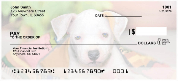 Pit Bull Pups Personal Checks