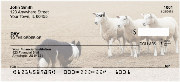 Border Collie at Work Personal Checks