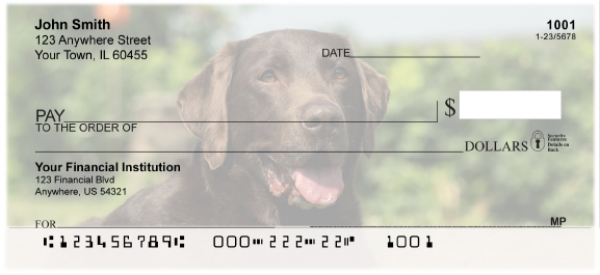 O So Chocolate Labs Personal Checks