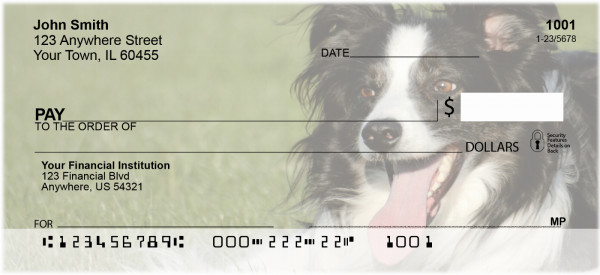 Bouncing Border Collie Personal Checks