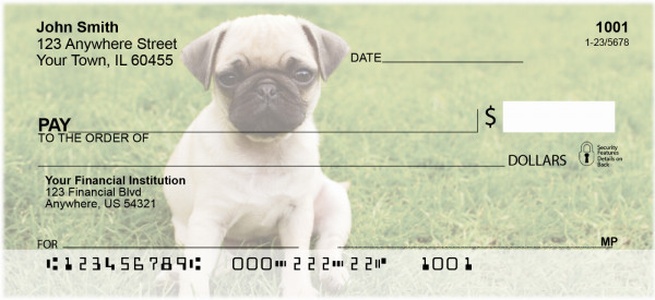 Pugs At The Park Personal Checks