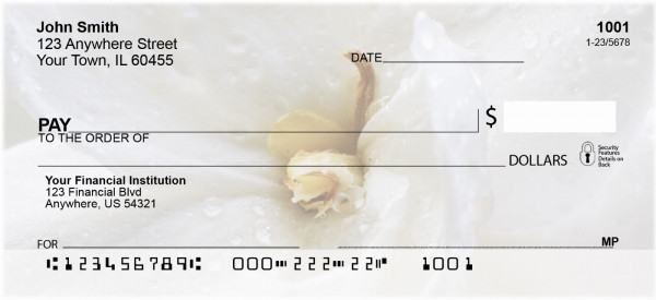 Wonder In White Personal Checks