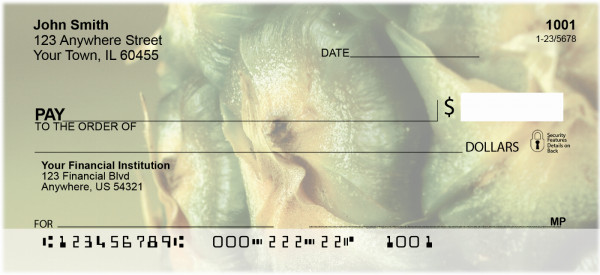 Pineapple Abstracts Personal Checks