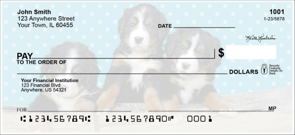 Bernese Mountain Dog Pups Keith Kimberlin Personal Checks