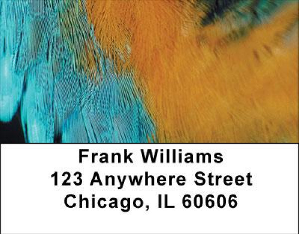Fun Feathers Address Labels