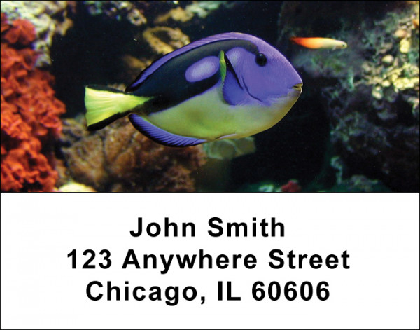 Tropical Fish Address Labels