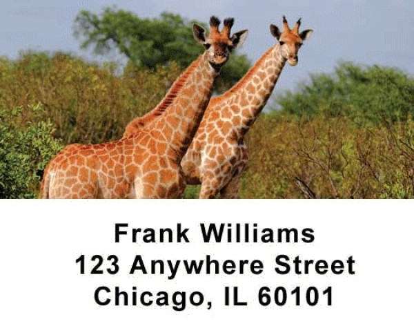 Safari Wildlife Address Labels