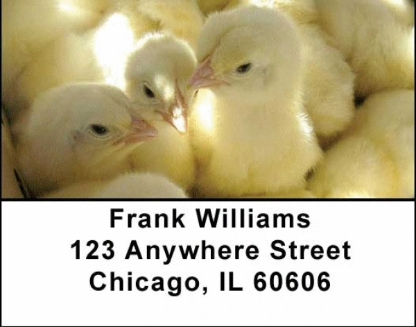 Barnyard Address Labels