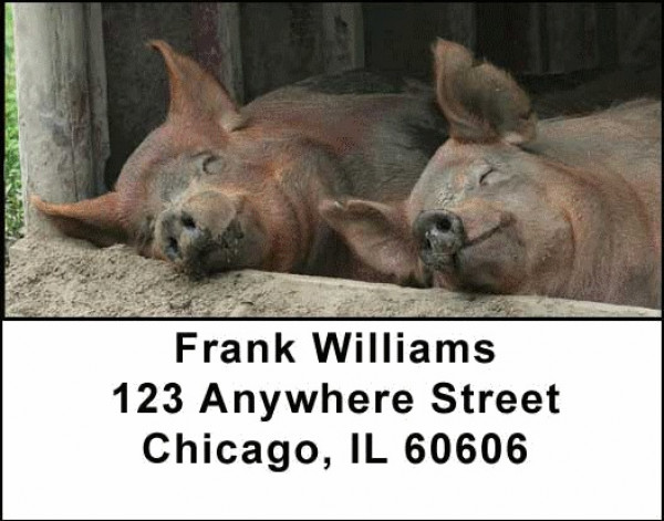 Farm Address Labels