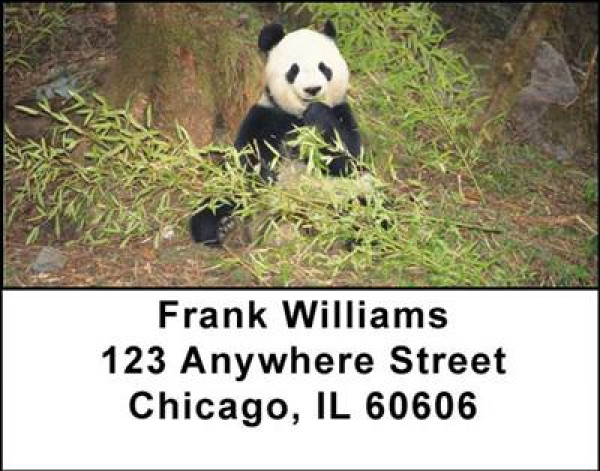 Panda Bears Address Labels